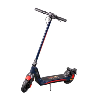 Oracle Red Bull Racing RB-RNINEP9-75 RS 900