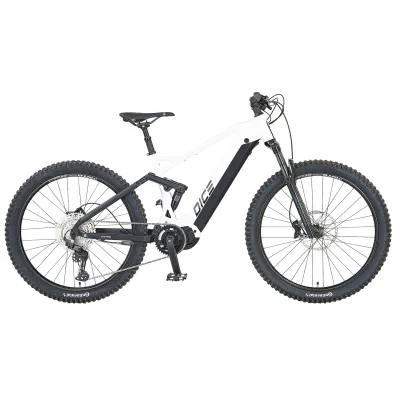Prophete Dice 5.0 E-MTB E-Bike 27,5"