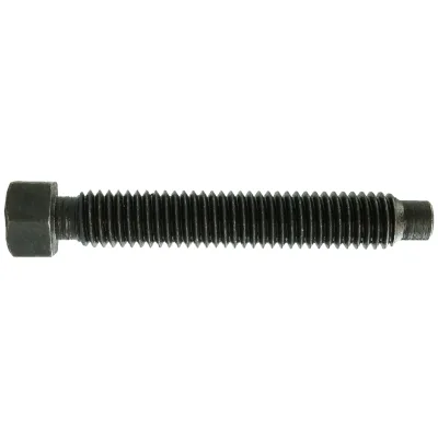 Reidl DIN 561 Sechskantschraube mit Zapfen Form A 24x100 8.8 blank