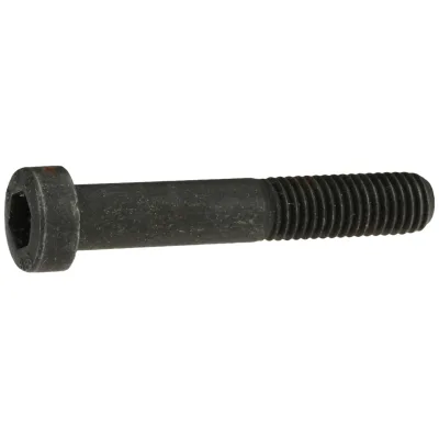 Reidl DIN 6912 Zylinderschraube 24x55mm Stahl 8.8 blank niedriger Kopf Innensechskant