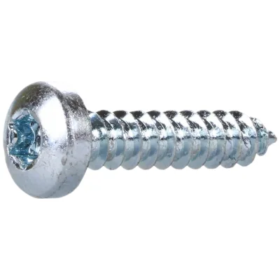 Reidl DIN 7981 Linsenkopf-Blechschrauben TX Form C 4,8 x 22 Stahl verzinkt farblos