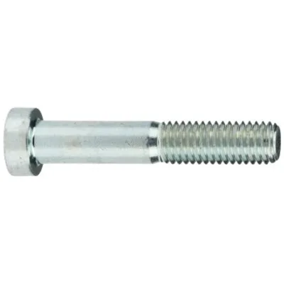 Reidl DIN 7984 Zylinderschraube 8x30mm Stahl 8.8 verzinkt niedriger Kopf TX