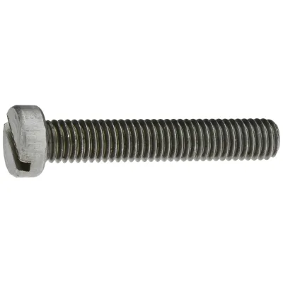 Reidl DIN 84 Zylinderschrauben mit Schlitz 5x22 mm Stahl 4.8 blank
