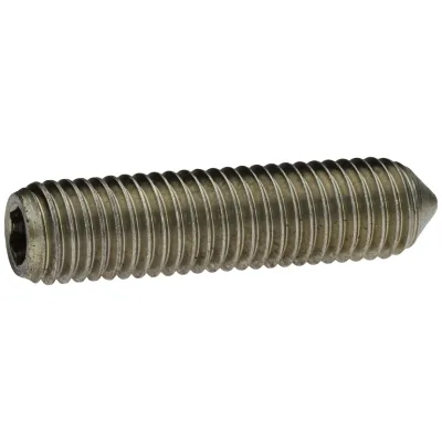Reidl DIN 914 Gewindestifte M6x30, mit Innensechskant/Spitze, A4 blank