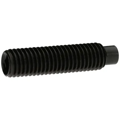 Reidl DIN 915 Gewindestifte M16x35, mit Innensechskant/Zapfen, 45 H blank
