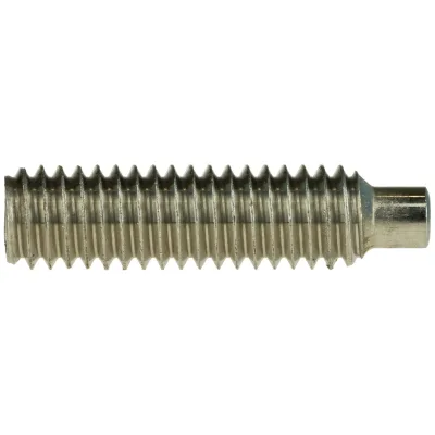 Reidl DIN 915 Gewindestifte M3x12, mit Innensechskant/Zapfen, A1 / 1.4305 blank