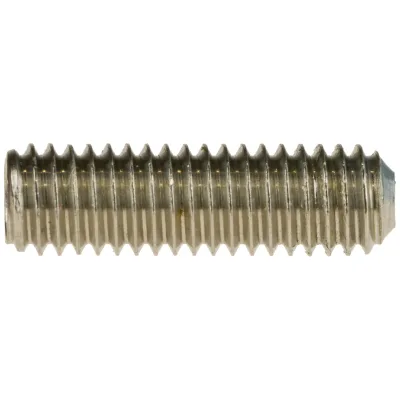 Reidl DIN 916 Gewindestifte M6x40, mit Innensechskant/Ringschneide, A4 blank