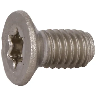 Reidl DIN 965 Senkschrauben M 2 x 18,  TX, A2 blank