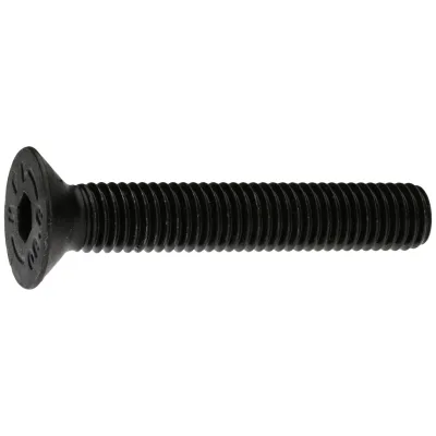 Reidl ISO 10642 Senkschraube mit Innensechskant, M 20 x 65, 8.8 blank