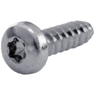 Reidl ISO 14585 Linsen-Blechschr. mit Innensechsrund, Form F 5,5 x 25 Stahl verzinkt