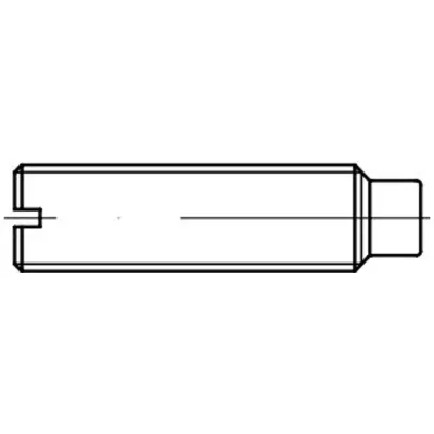 Reidl ISO 7435 Gewindestifte M12x40, mit Zapfen, 14H blank