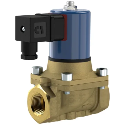 Riegler 2/2 MV, NC, MS, G1, DN25, PN 0-12, NBR, zwangsg., 24V DC