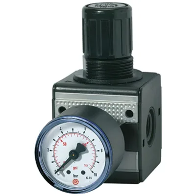 Riegler Druckregler »multifix«, inkl. Manometer, BG 1, G 3/8, 0,1 - 3 bar