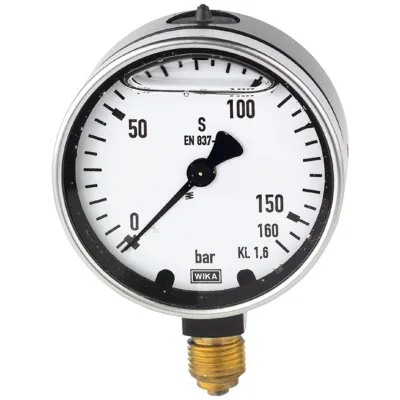 Riegler Glyzerinmanometer, Metallgehäuse, G 1/4 unten, -1/+0,6 bar, Ø 63