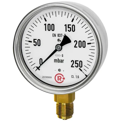 Riegler Kapselfedermanometer, G 1/2 radial unten, 0 - 250 mbar, Ø 100, Art.Nr. 6816-R