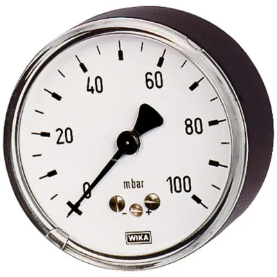 Riegler Kapselfedermanometer, G 1/4 hinten zentrisch, 0 - 250 mbar, Ø 63