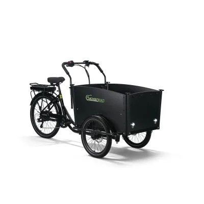 SachsenRAD E-Lastenrad T1 Grand Trunk mit Alarmanlage schwarz