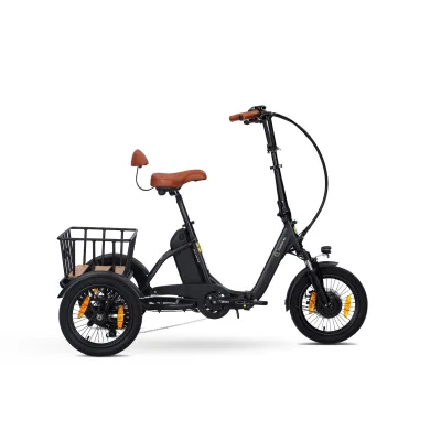 SachsenRAD T6S Comfort Air mit Alarmanlage
