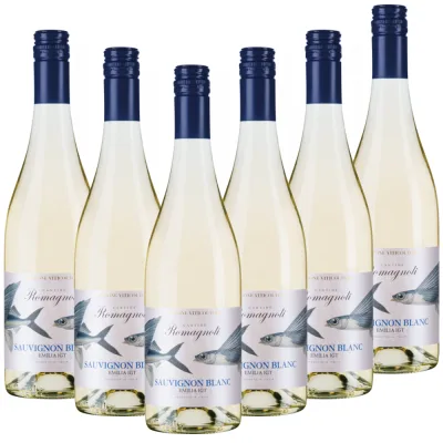 Sauvignon Blanc Emilia IGT "Edizione Viticoltore"  Italien trocken - 6er Karton