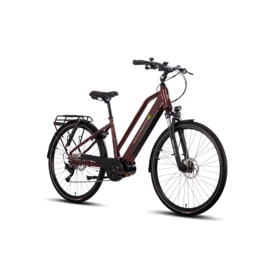 SAXONETTE Premium Sport E-Trekkingbike UNISEX  10 Gang Federgabel, Mittelmotor