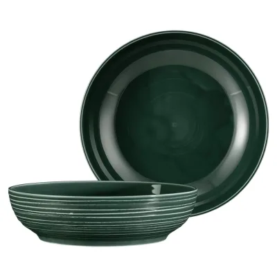 Seltmann Weiden Foodbowl Terra ø 25,5 cm 2er Set