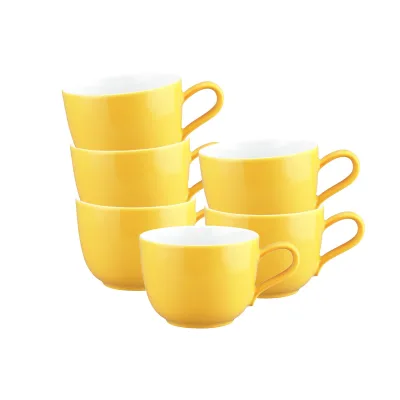 Seltmann Weiden Kaffeetassen Liberty Pure Colors 260 ml 6er Set