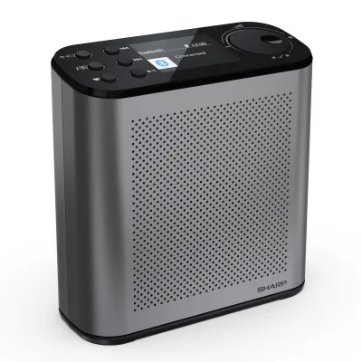 Sharp DR-P530 Osaka DAB+ Digitalradio Bluetooth Lautsprecher Wecker Dual-Alarm & Akku, grau-schwarz
