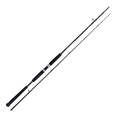 Shimano Beastmaster AX Pilk 2,40m 100-200g 2pc Pilkrute