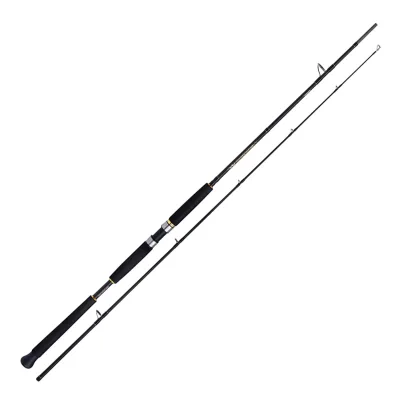 Shimano Beastmaster AX Pilk 2,40m 150-300g 2pc Pilkrute