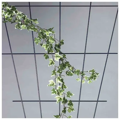 Siena Garden Rosenspalier V-Form braun 150 x 75 cm