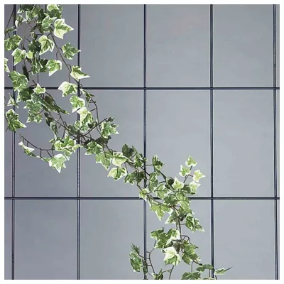 Siena Garden Spalier 3-strebig, braun Maße: 150x45cm