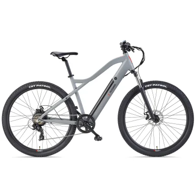 TELEFUNKEN MT922 E-MTB Mountainbike, 7-Gang Kettenschaltung, Heckmotor, 489,6 Wh Akku, 29" aluminiumgrau