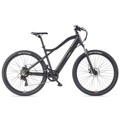TELEFUNKEN MT922 E-MTB Mountainbike, 7-Gang Kettenschaltung, Heckmotor, 489,6 Wh Akku, 29" schwarz