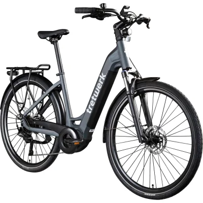 Tretwerk Amber E Bike Damen 28 Zoll Elektrofahrrad 155 - 185 cm Hollandrad Tiefeinsteiger mit 9 Gang Schaltung