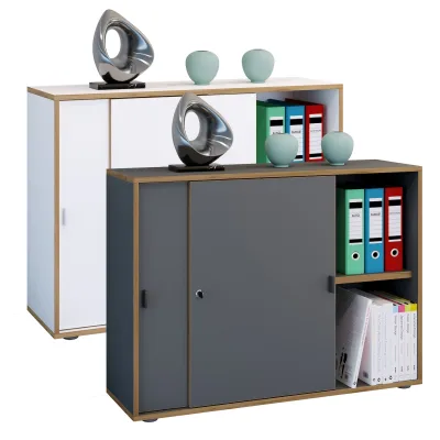 VCM Büroschrank mit 2 Fächern   moderner Aktenschrank mit Schiebetüren   Maße ca. H. 74 x B. 100 x T. 37 cm– Salia 2-Fach