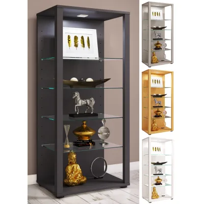 VCM Glasvitrine stehend   Vitrine Glas mit ESG-Sicherheitsglas   Maße ca. H. 115 x B. 52 x T. 35 cm   Standvitrine Glas   Modern und platzsparend   Glas Vitrinenschrank – Glasol lll