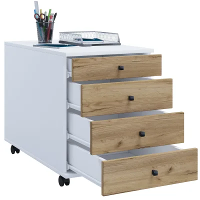 VCM Rollcontainer Lona