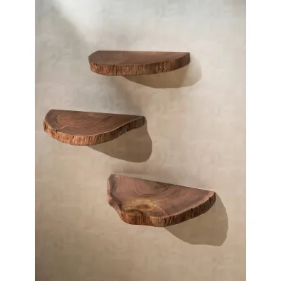 Wandregal Akazie Massivholz Modern Stil 3er Set Baumscheibe mit Baumkante