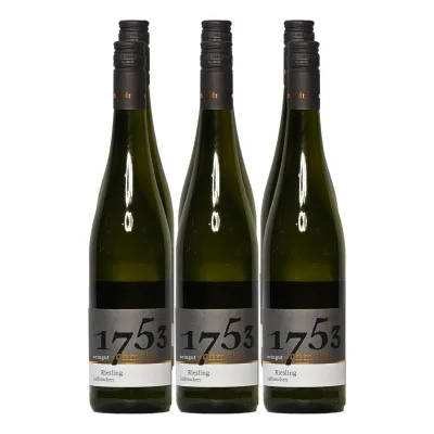 Weingut Schmidt Obermoscheler Silberberg Riesling halbtrocken 12,0 % vol 6 x 0,75 Liter (2025er)