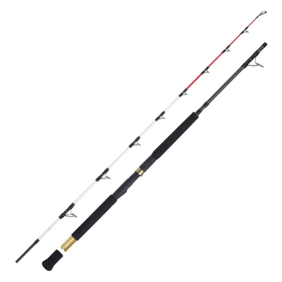 WFT Adventure Deep Water 2,15m, 50lbs 200-1200g Meeresrute