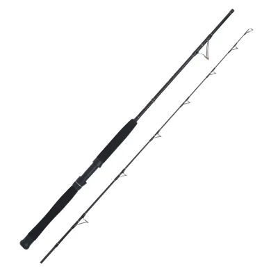 WFT Cool Sea Special Fjord 2pc. 2,10m 18lbs 20-200g Meeresrute